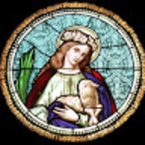 Meet your Posher, Swan